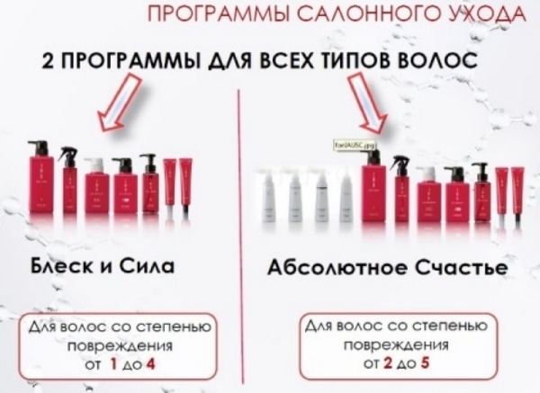 Восстановление Lebel Блеск и сила волос в Москве на Якиманке 
